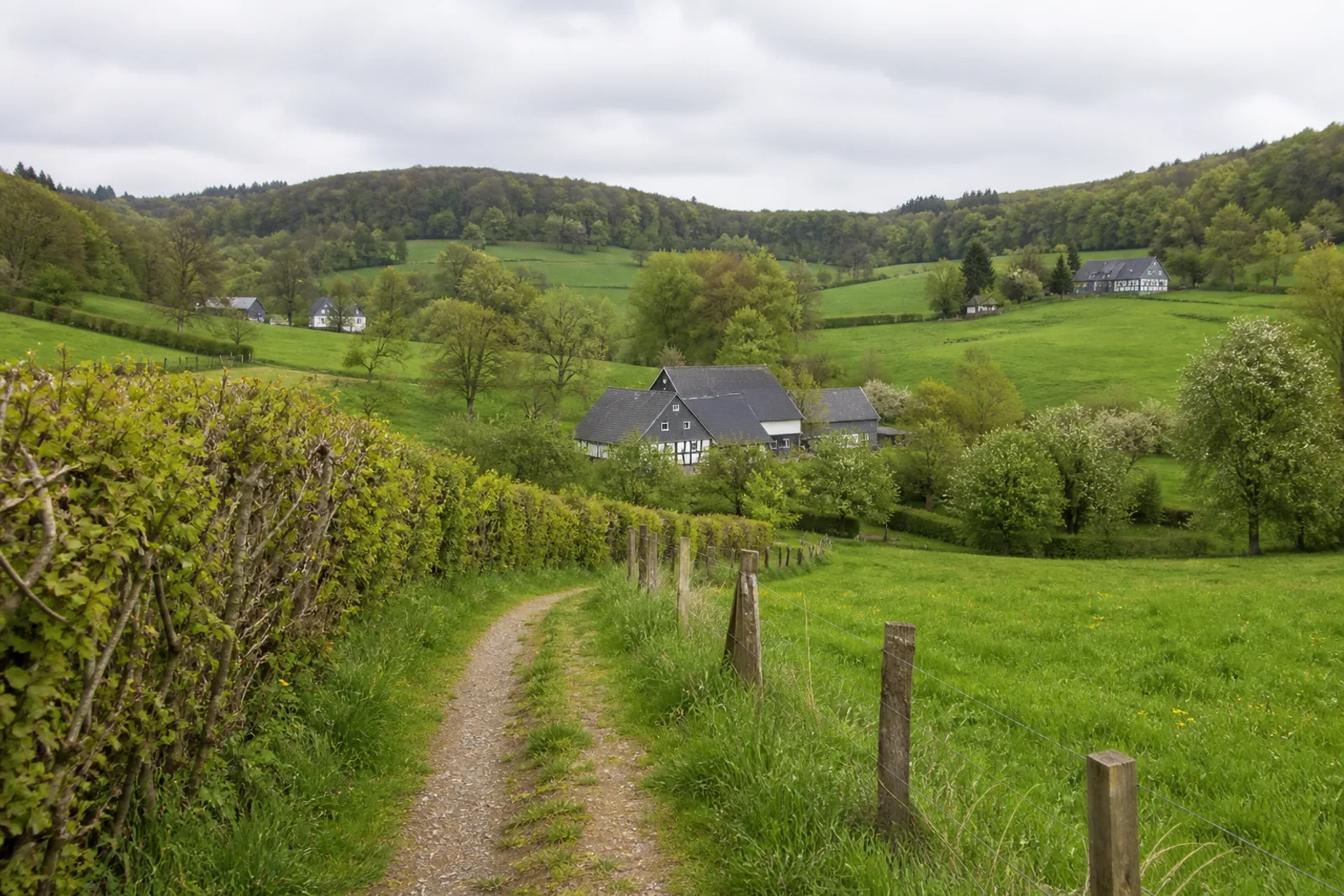 Feldweg zwischen Wiesen und bergischen Höfen im Windrather Tal bei Velbert