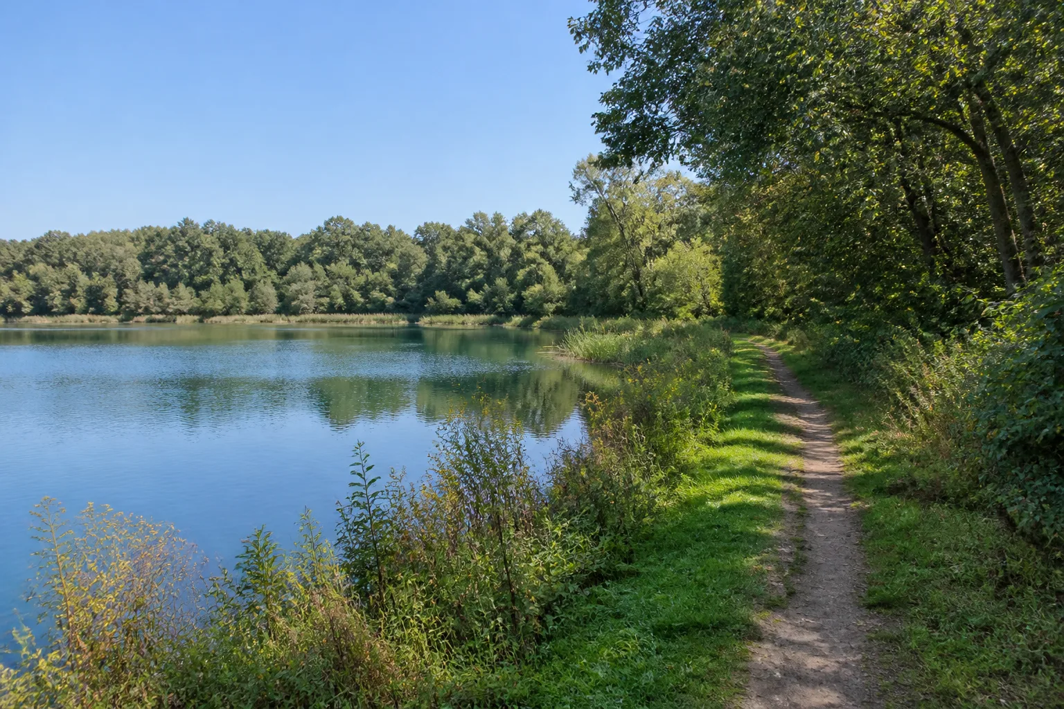 Verler See
