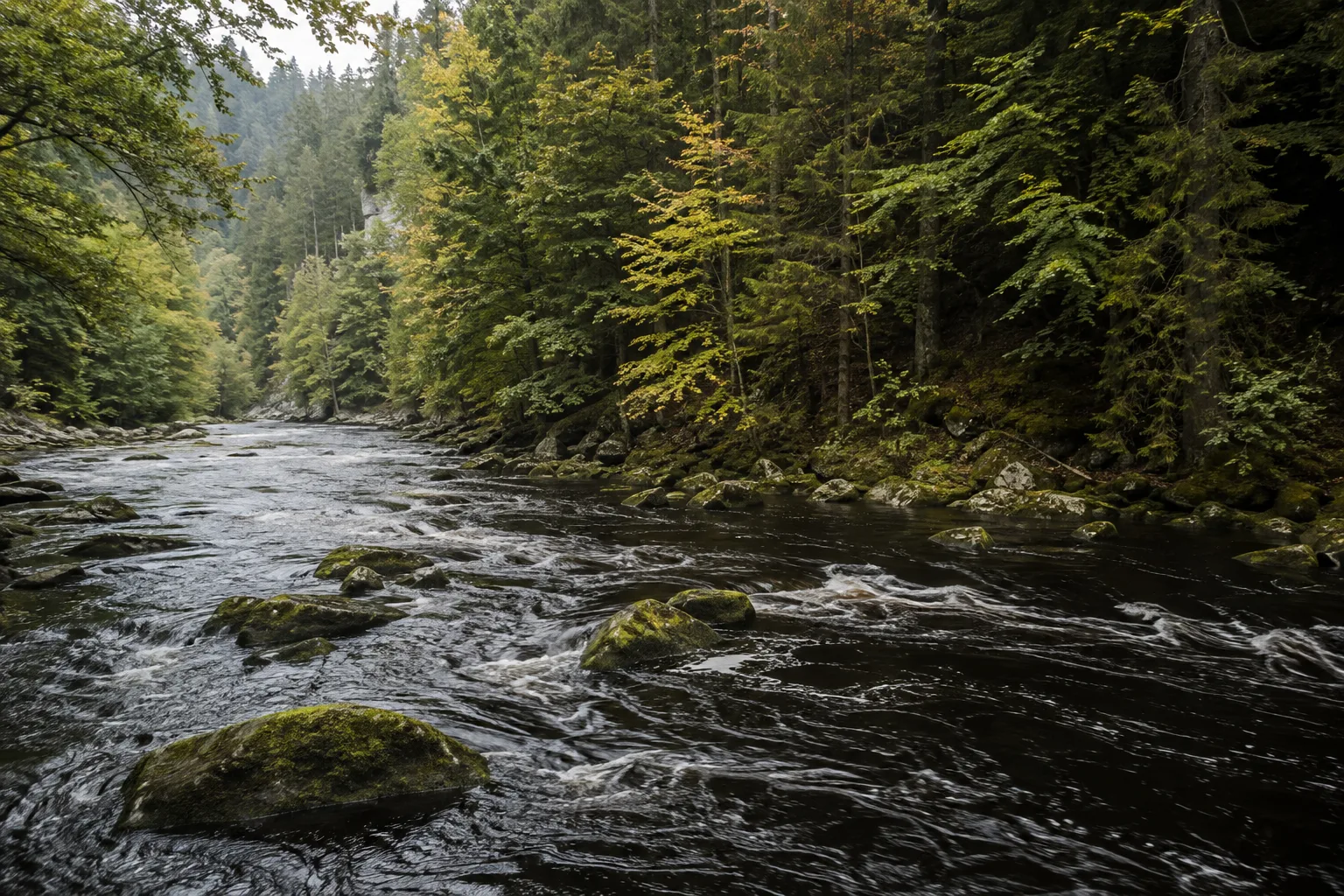 Schwarzer Regen: dunkler Fluss zwischen Felsen und bewaldeten Steilhängen