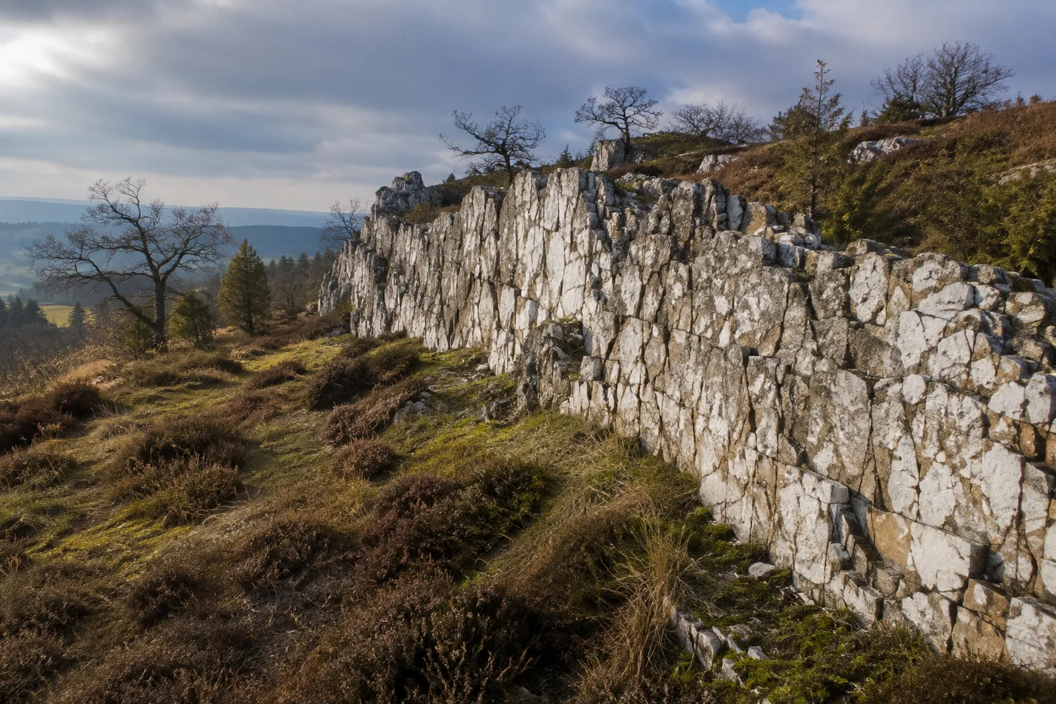 Viechtach: Viechtach: Großer Pfahl: helles Quarzriff über Heide und knorrigem Eichenwald