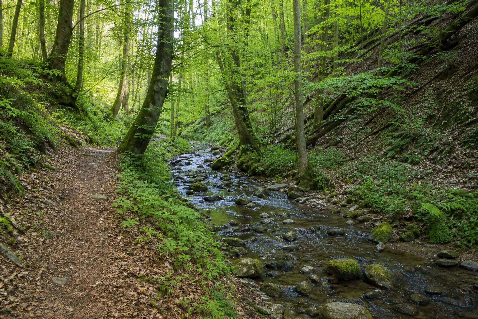 Bachpfad an der Linnenbeeke bei Valdorf