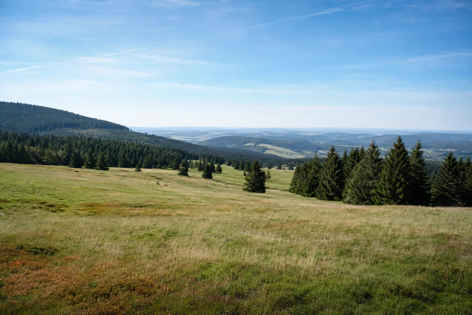 Musikwinkel: Wiesenhang und Fichtenwald am Aschberg