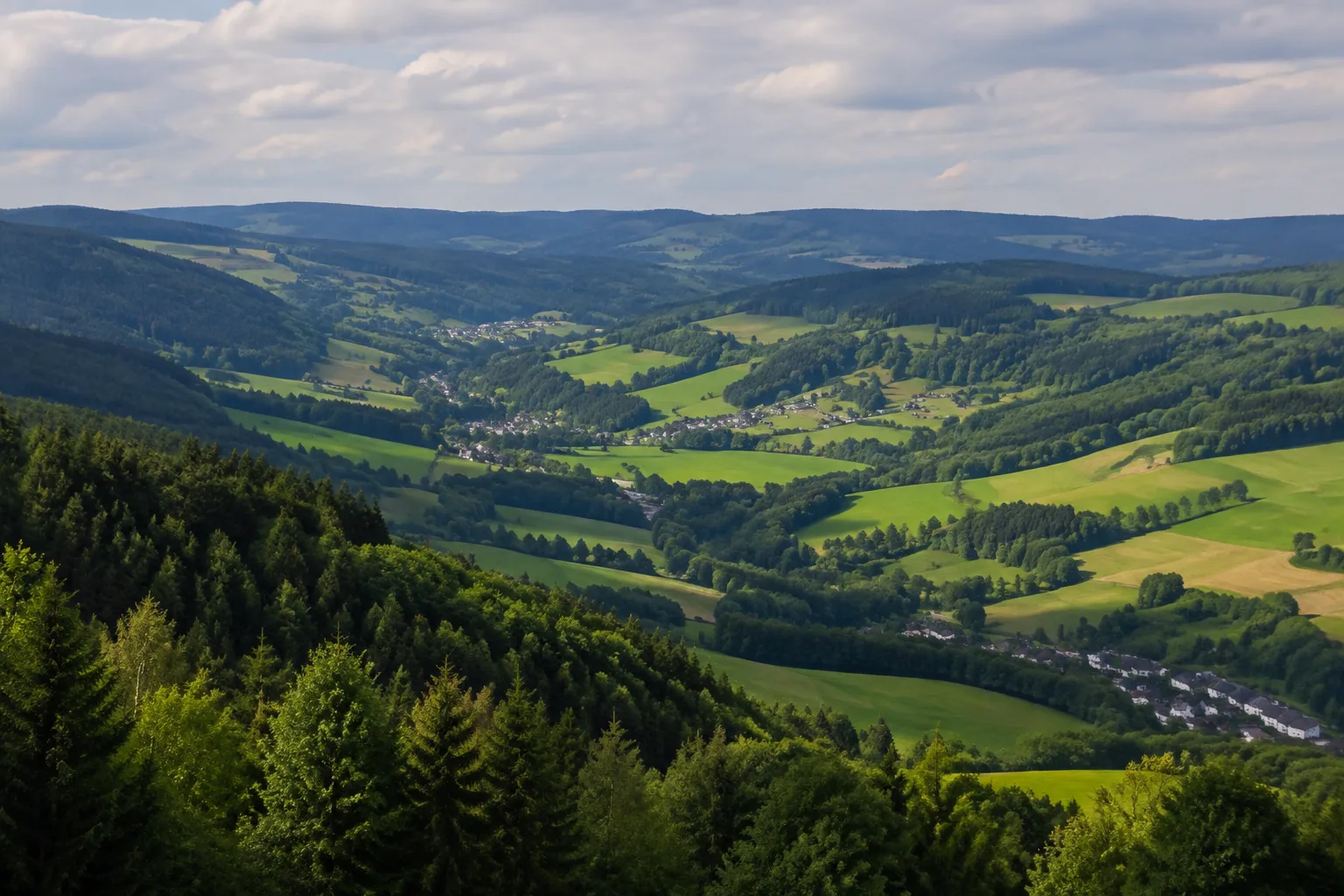 Vogtland: Vogtland: Vogtländische Höhen: sanfte bewaldete Rücken über grünen Flusstälern