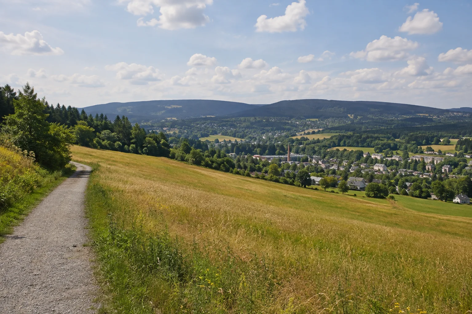 Musikwinkel: offene Wiesenhänge am Rand von Markneukirchen vor dunklen bewaldeten Mittelgebirgsrücken