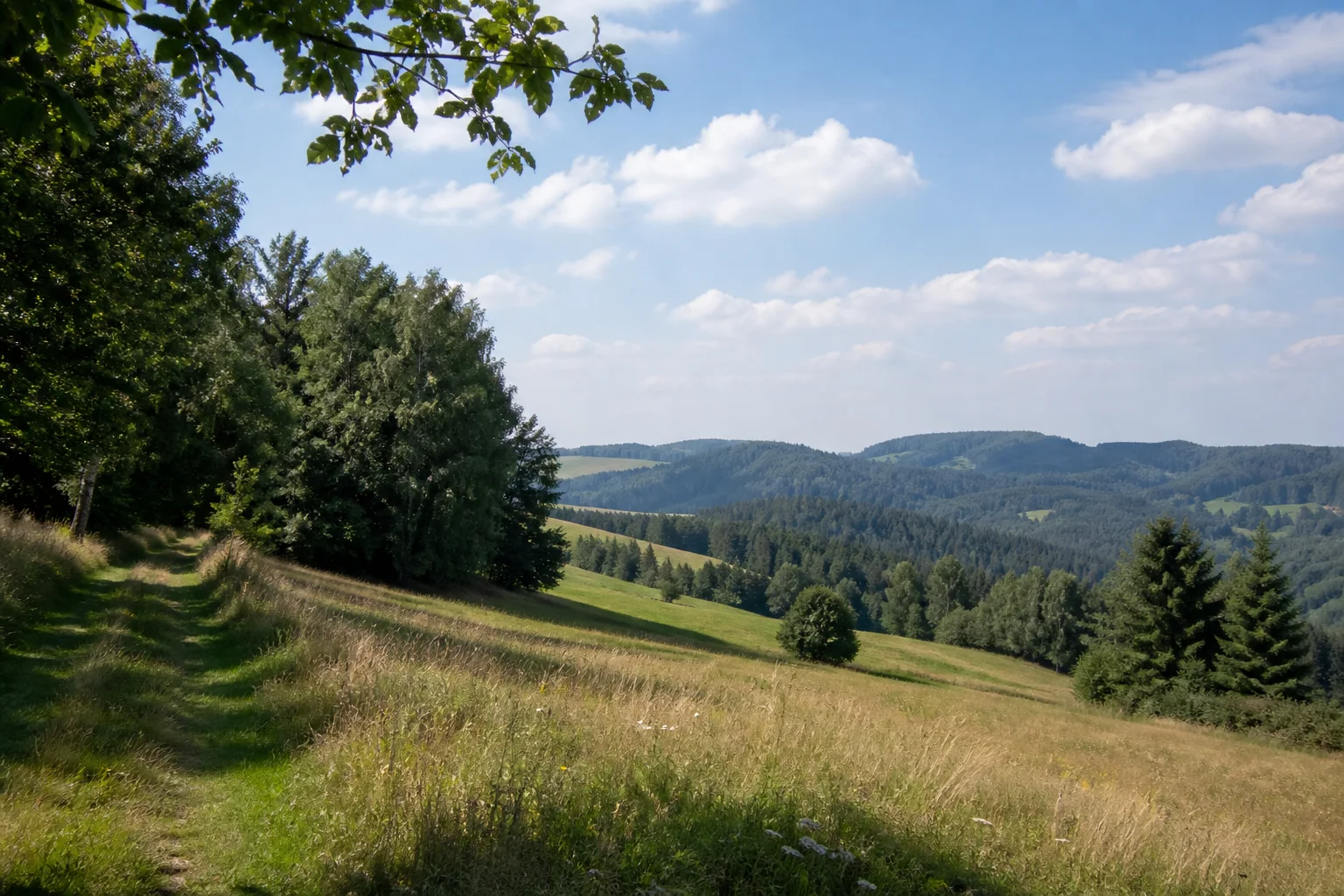 Vogtland Panorama Weg: Jößnitzer Höhen: sanfte Wiesenhügel mit Laubwald und kleinen Waldtälern nördlich von Plauen