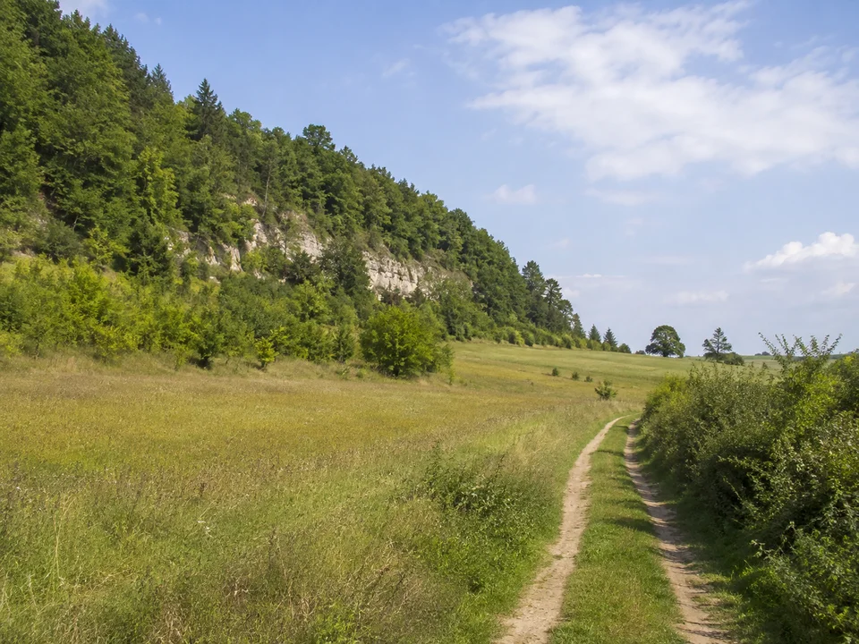 Talwiesen bei Alfalter: Wiesen am Fuß eines bewaldeten Kalkhangs bei Alfalter, sanft ansteigender Feldweg, keine Alpen.