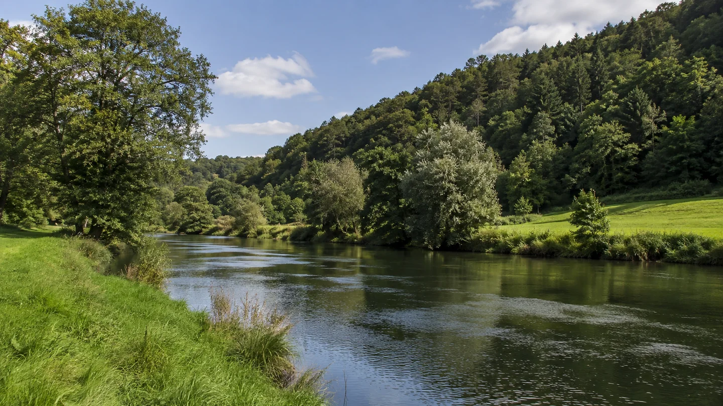 Vorra: Vorra Bahnhof: Pegnitz bei Artelshofen: Mäßig breiter ruhiger Pegnitzabschnitt bei Artelshofen mit Uferbäumen, grünen Wiesen und dicht bewaldeten Jurahängen.