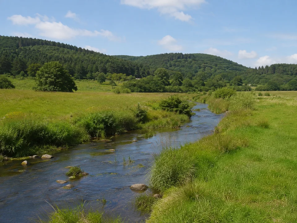 Niddatal bei Rainrod: Kleiner Fluss durch weite grüne Wiesen unter niedrigen bewaldeten Hügeln