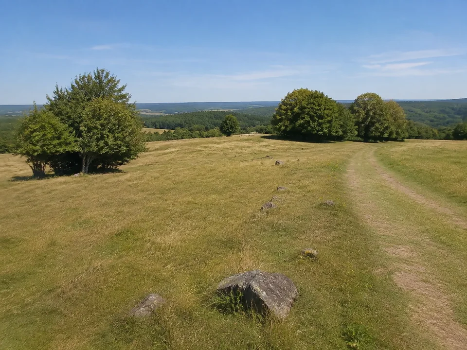 Herchenhainer Höhen: Offene runde Bergwiese mit einzelnen Basaltsteinen und Laubbaumgruppen am Wanderweg