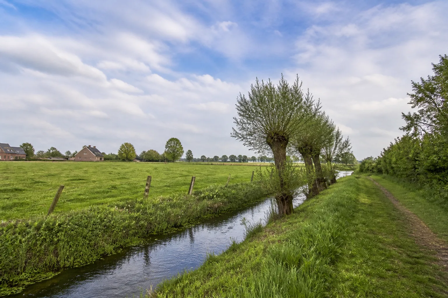 Wiesenweg in der Netteaue bei Wankum