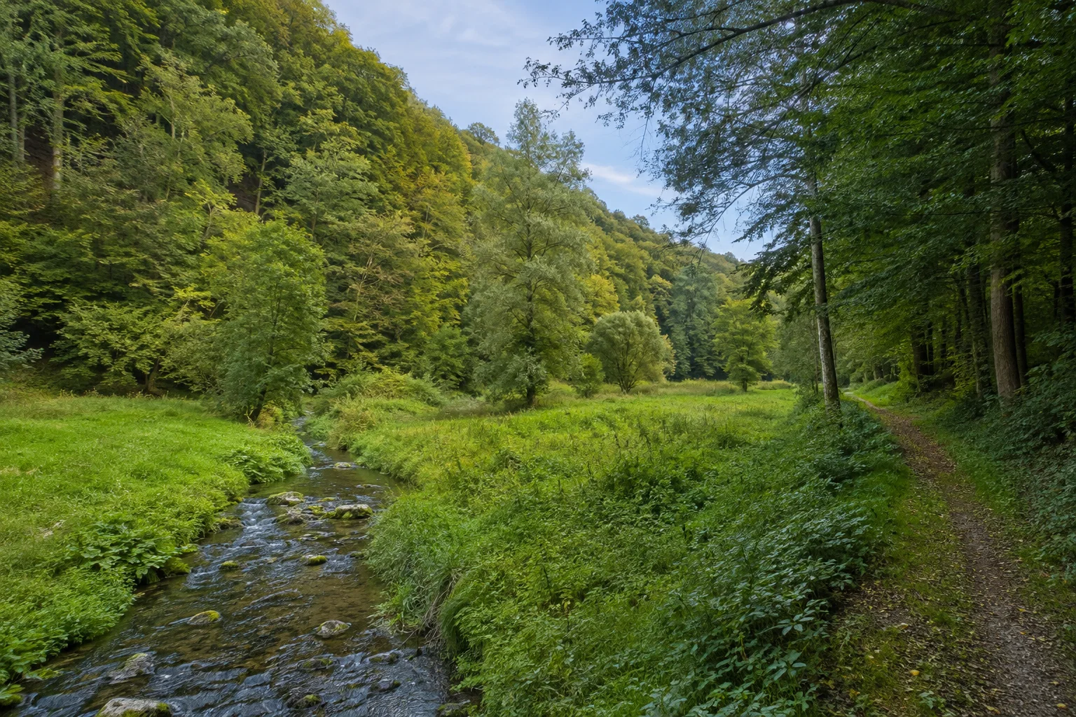 Wadern: Wadern: Wadrilltal: kleiner klarer Bach in einer grünen Talwiese mit steilen Laubwaldhängen, schmaler Weg am Waldrand.