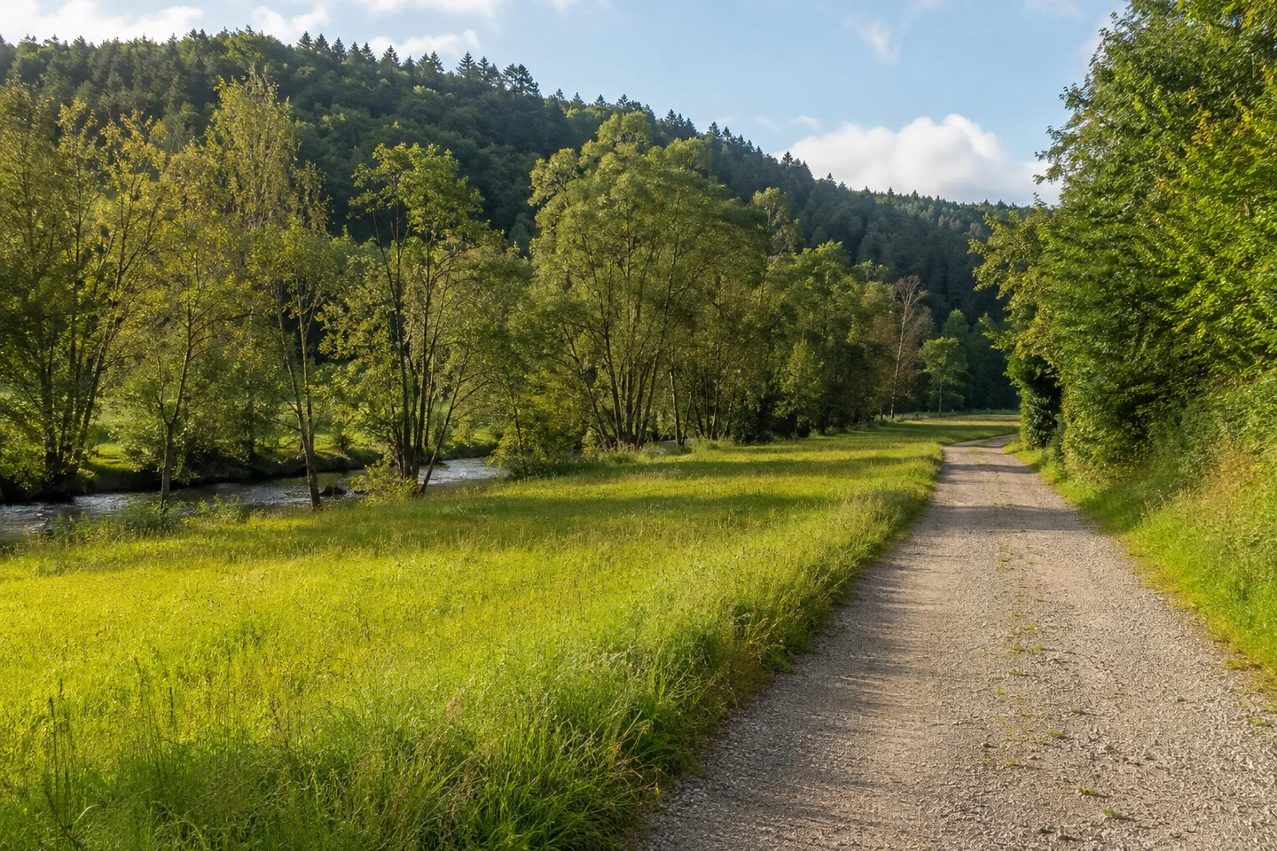 Talwiesen an der Wiesent bei Nankendorf, Schotterweg am Rand einer Heuwiese, Weiden und Erlen am Bach und ein bewaldeter Hang im weichen Hintergrund.