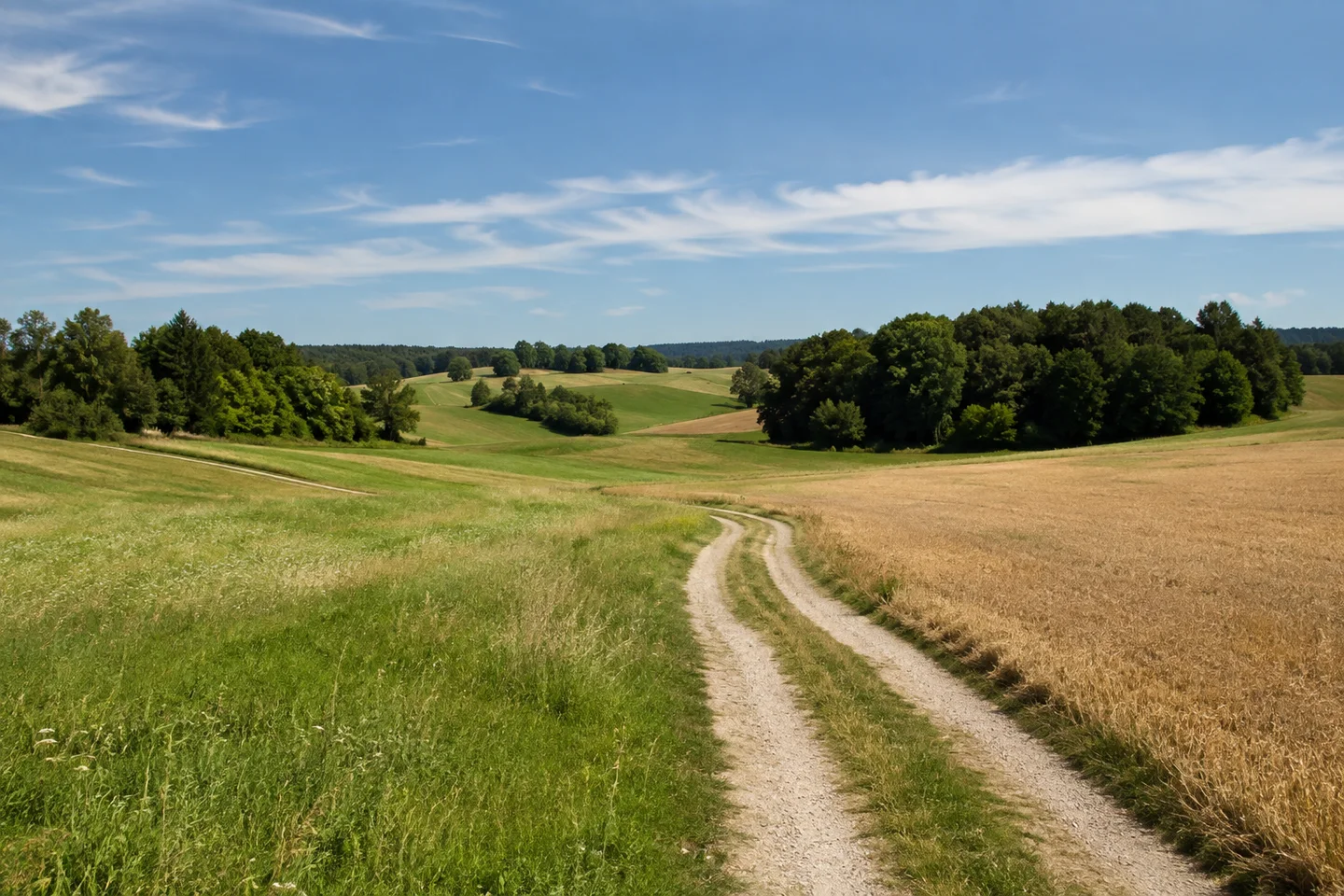 Leicht gewellte landwirtschaftliche Hochfläche bei Breitenlesau, Wiesen und Getreidestoppeln, geschwungener Feldweg, Laubwaldinseln, weiter Himmel ohne Berge.