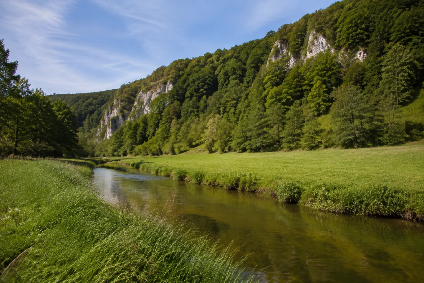 Waischenfeld: Schmaler natürlicher Wiesentlauf bei Waischenfeld, grasiges Ufer und Talwiesen unter steilen bewaldeten Jurahängen, einzelne helle Felsflächen im Laubwald.