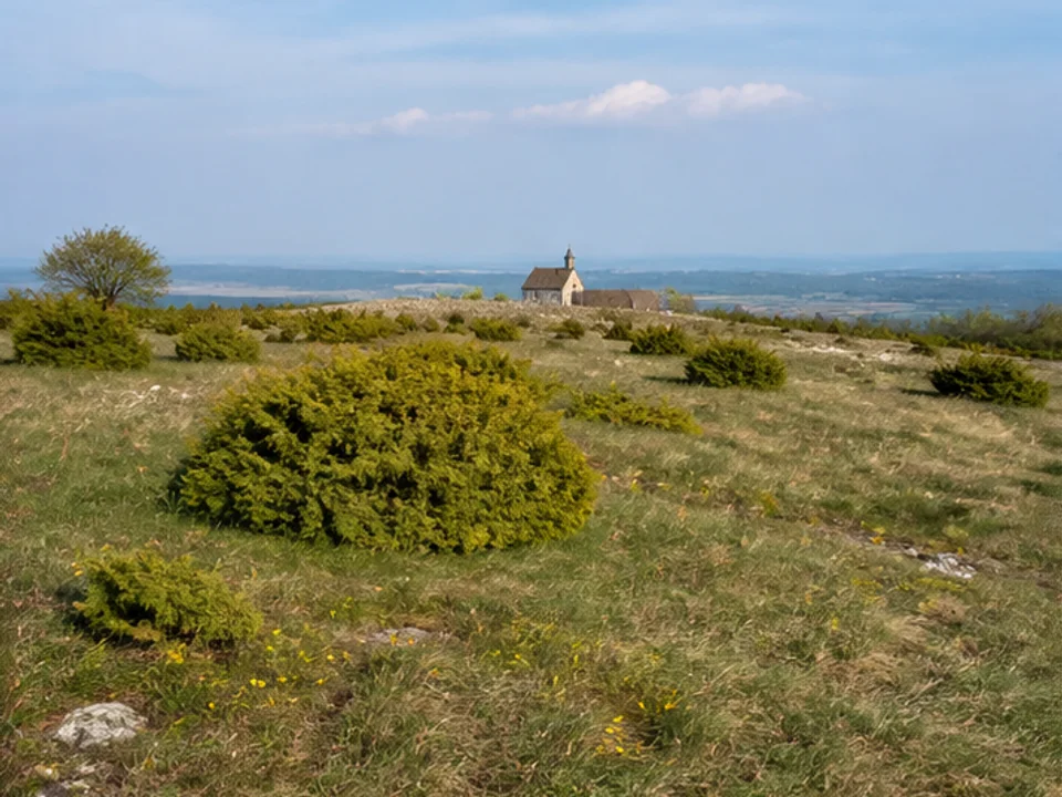 Hochfläche: Kalkmagerrasen mit Wacholder und Kapelle