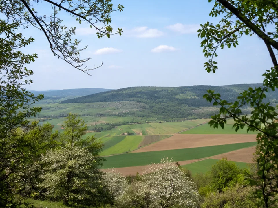 Westliches Vorland: Streuobsthänge über fränkischen Feldern