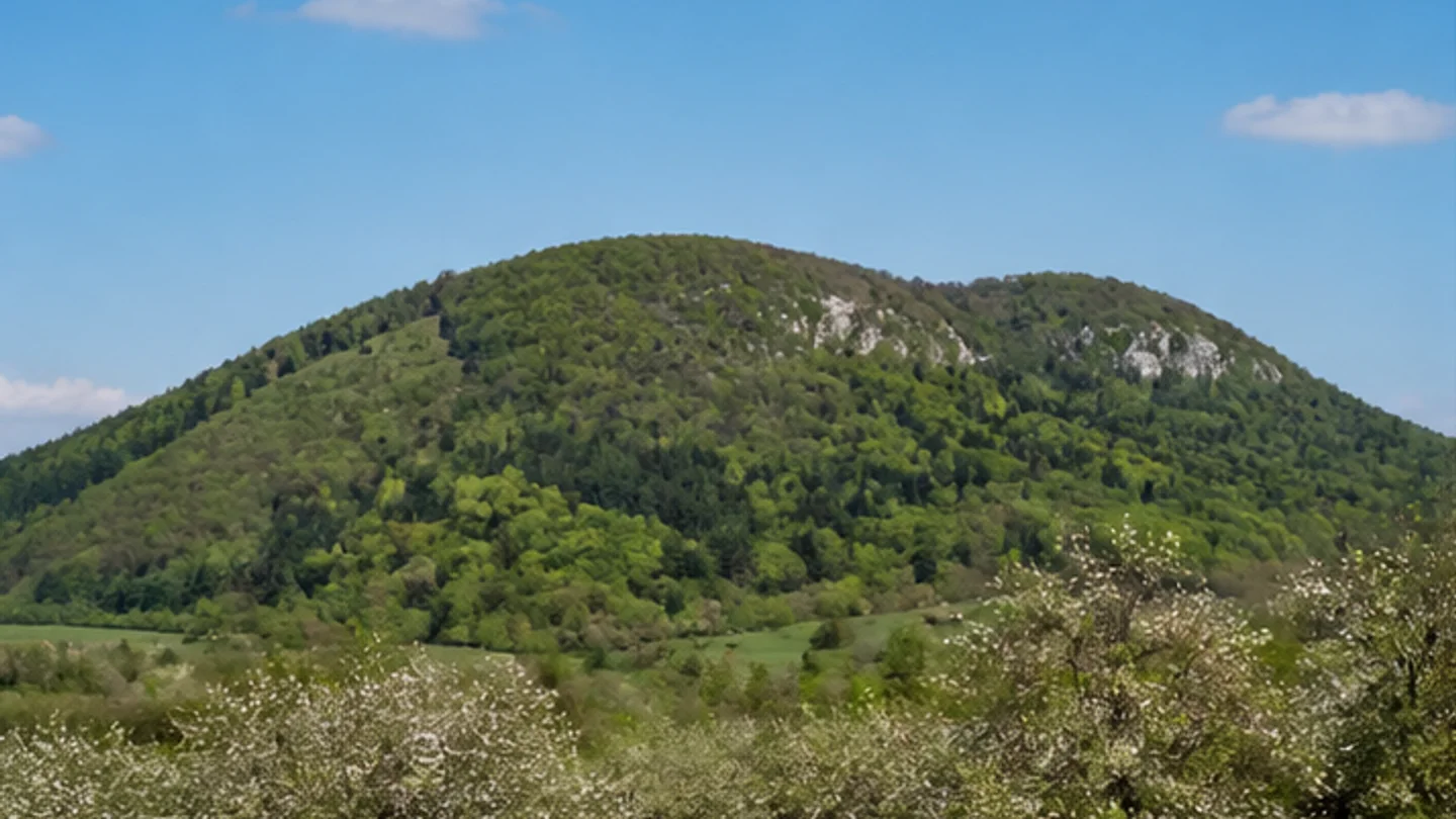 Walberla: Kirchehrenbach: Walberla: breiter bewaldeter Jurahügel über blühenden Kirschgärten