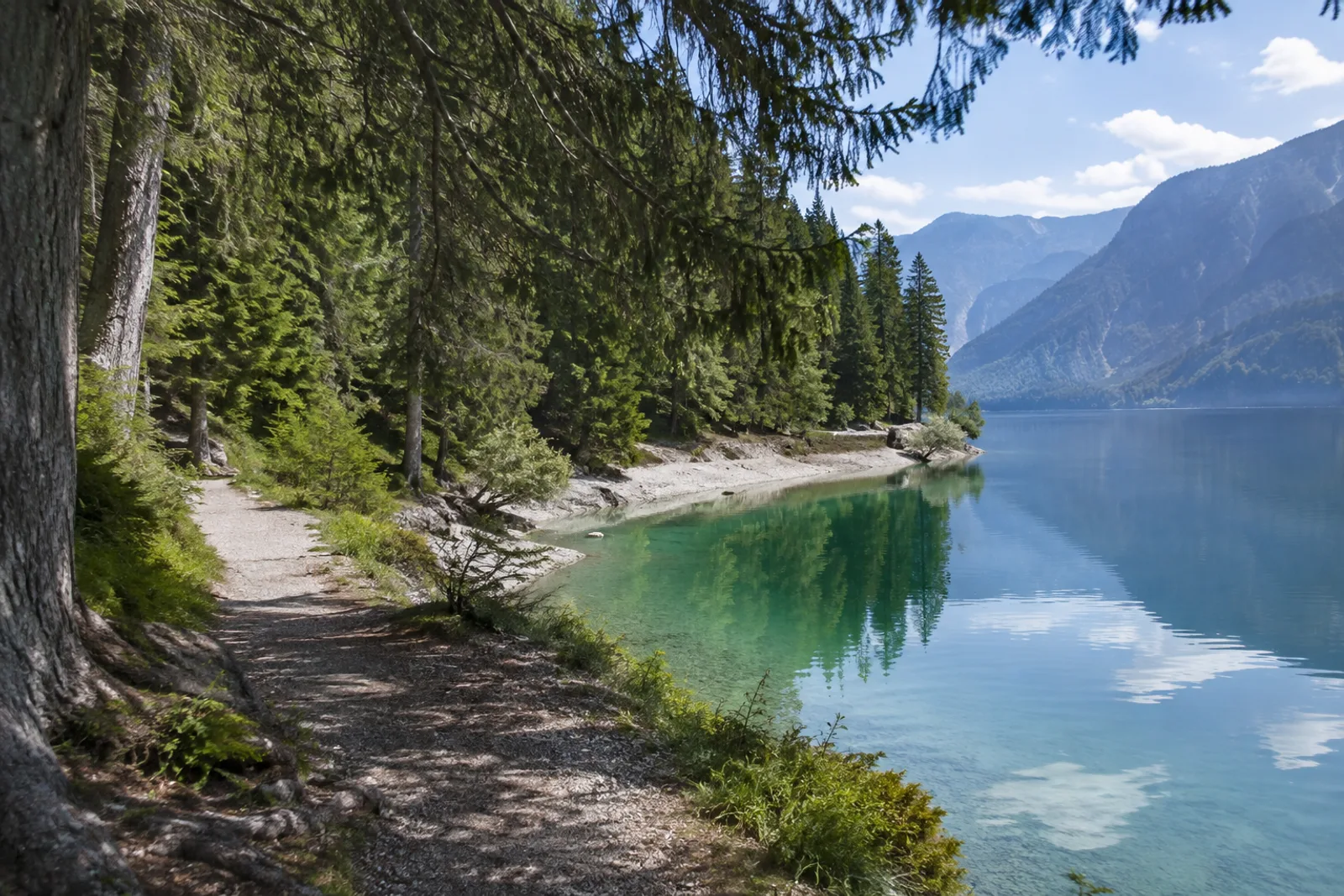 Einsiedl: waldiges Südufer mit Blick über das klare Wasser