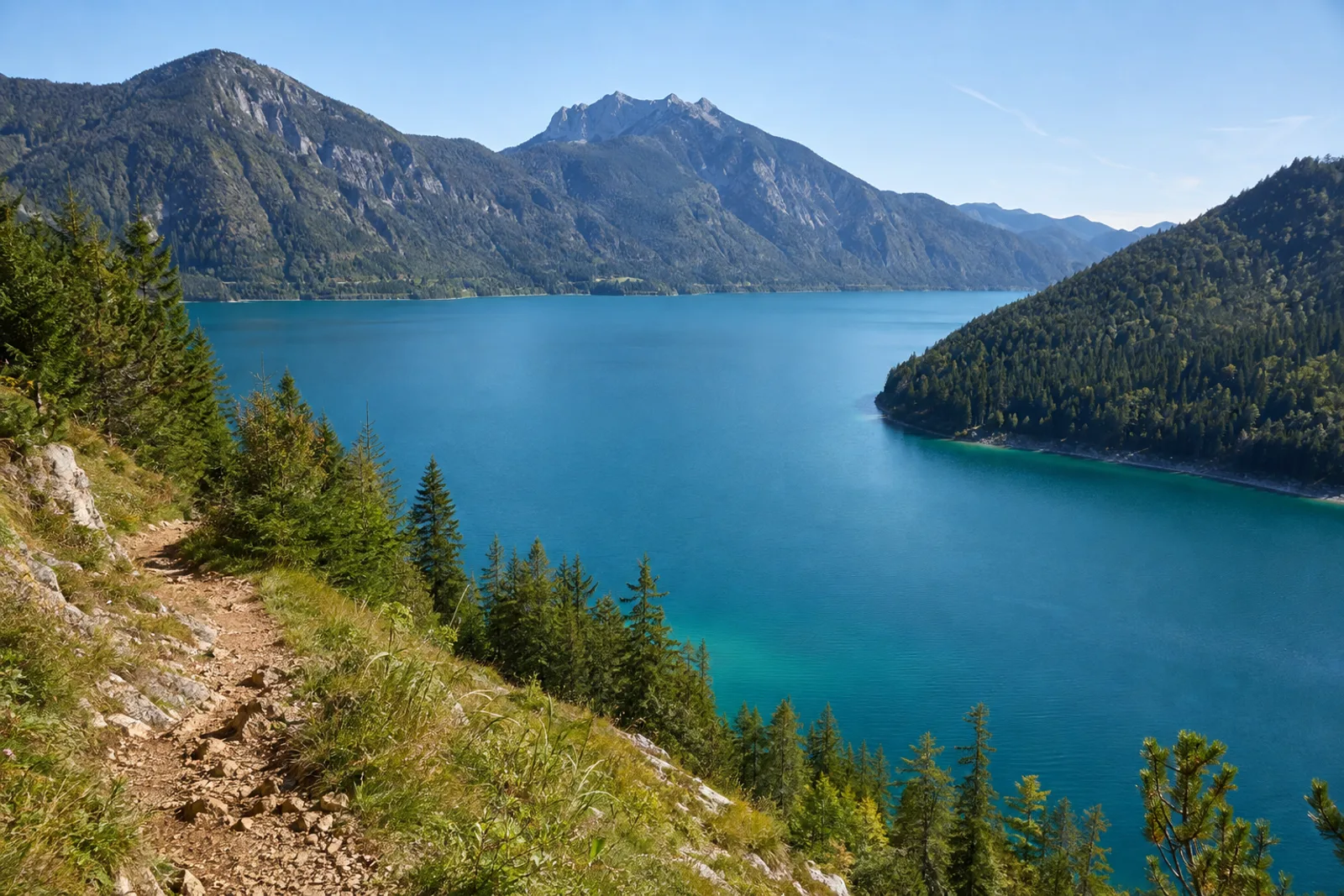 Walchensee: Walchensee: türkisblauer Bergsee mit Herzogstand und bewaldeten Ufern
