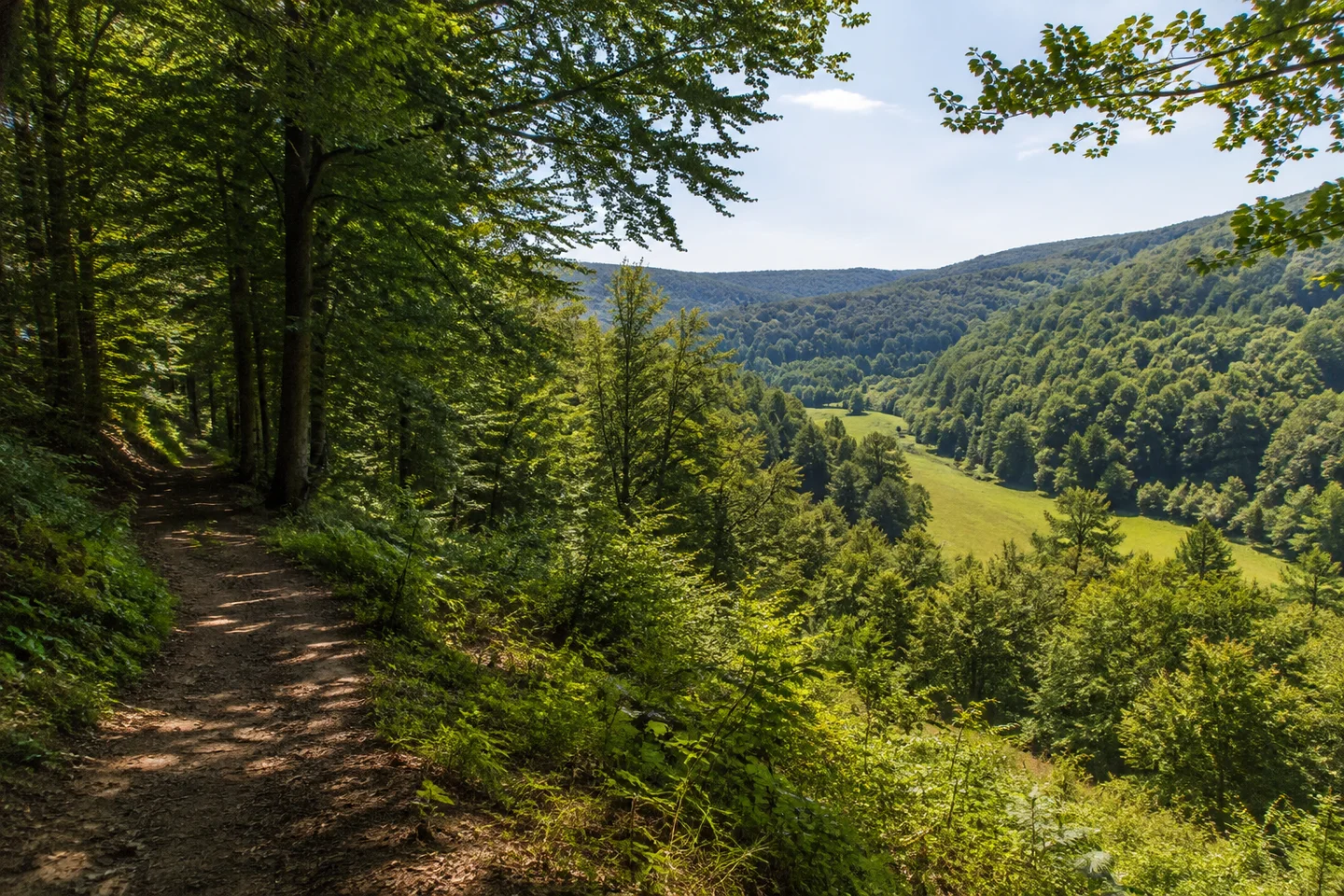 Wald-Michelbach: Wanderweg am bewaldeten Talrand bei Wald-Michelbach mit Buchen, wenigen Nadelbäumen und Blick auf schmale Wiesen im Tal.