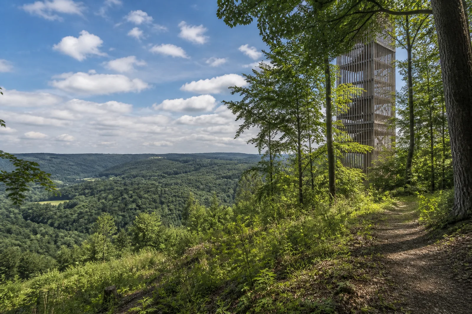 Höhenblick bei Panarbora