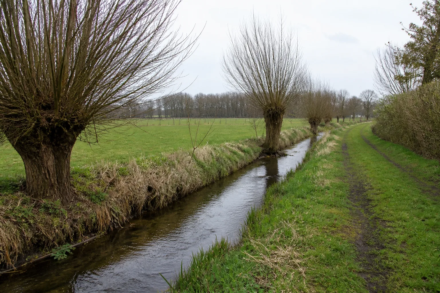 Kitscher Bach bei Haaren
