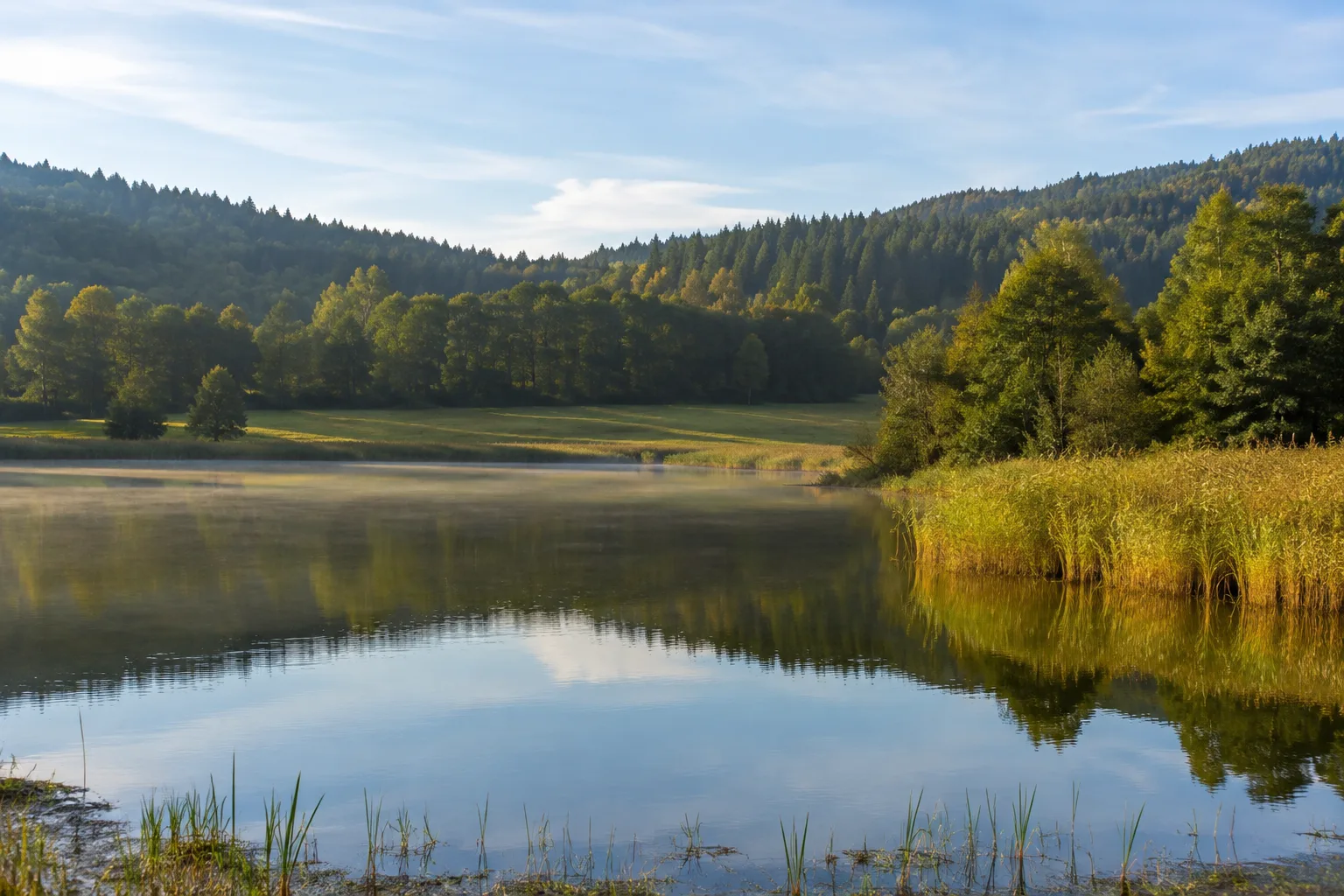 Erlauzwieseler See: ruhiger See mit Schilfufer vor sanften Waldhöhen