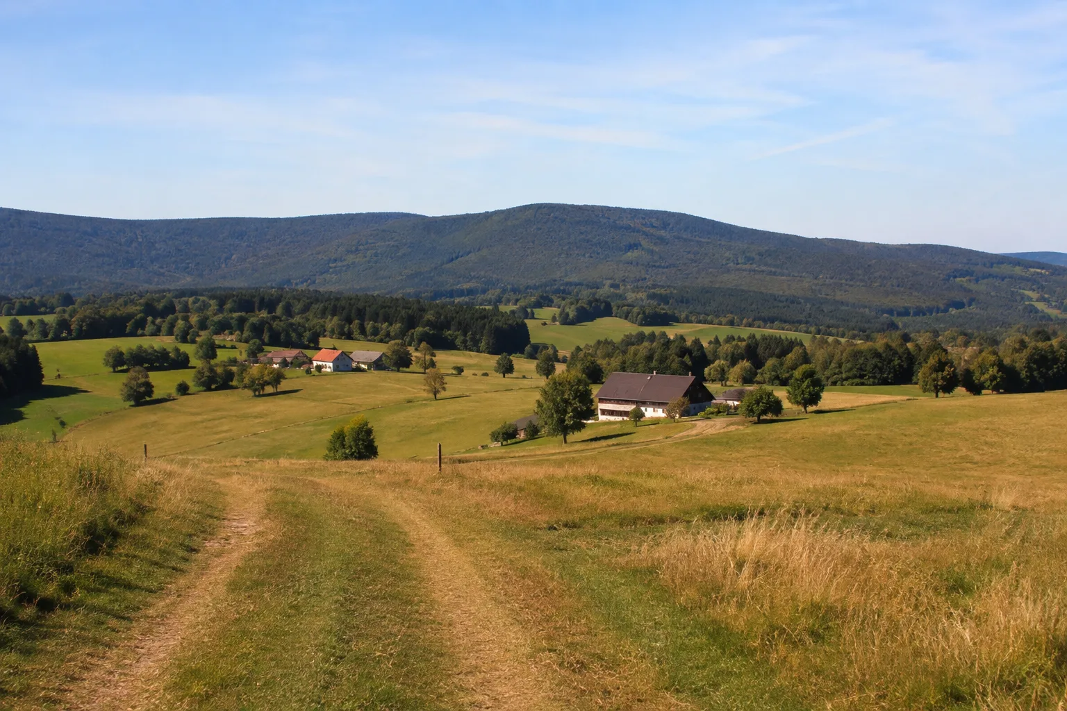 Herzogau: Wiesenhochfläche mit Einzelhöfen vor dem Gibacht