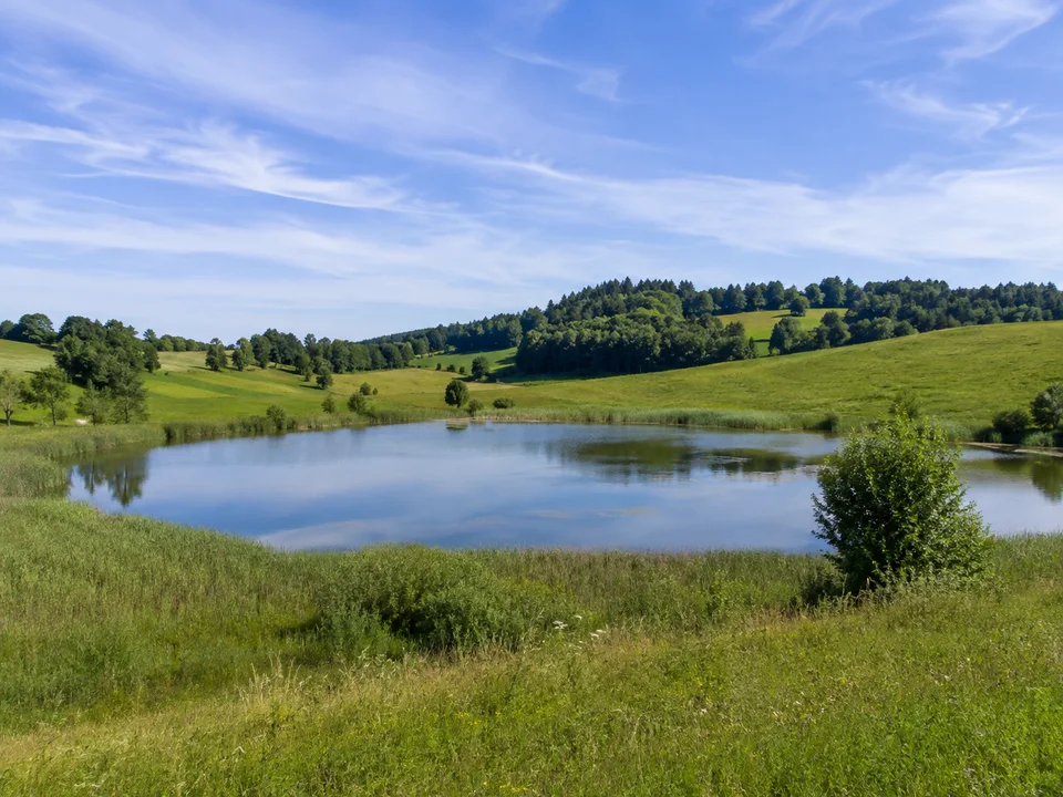 Karsee-Landschaft: Kleiner stiller See in grüner hügeliger Wiesenlandschaft mit Schilfrand und niedrigen Waldkuppen