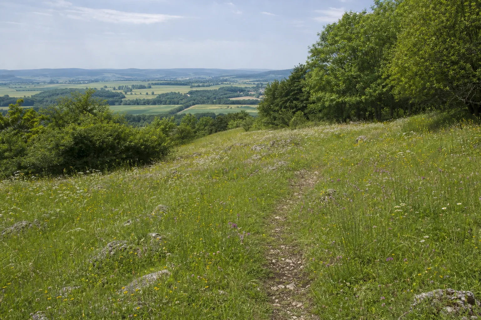 Kalkmagerrasen und Hecken am Heinberg bei Ossendorf