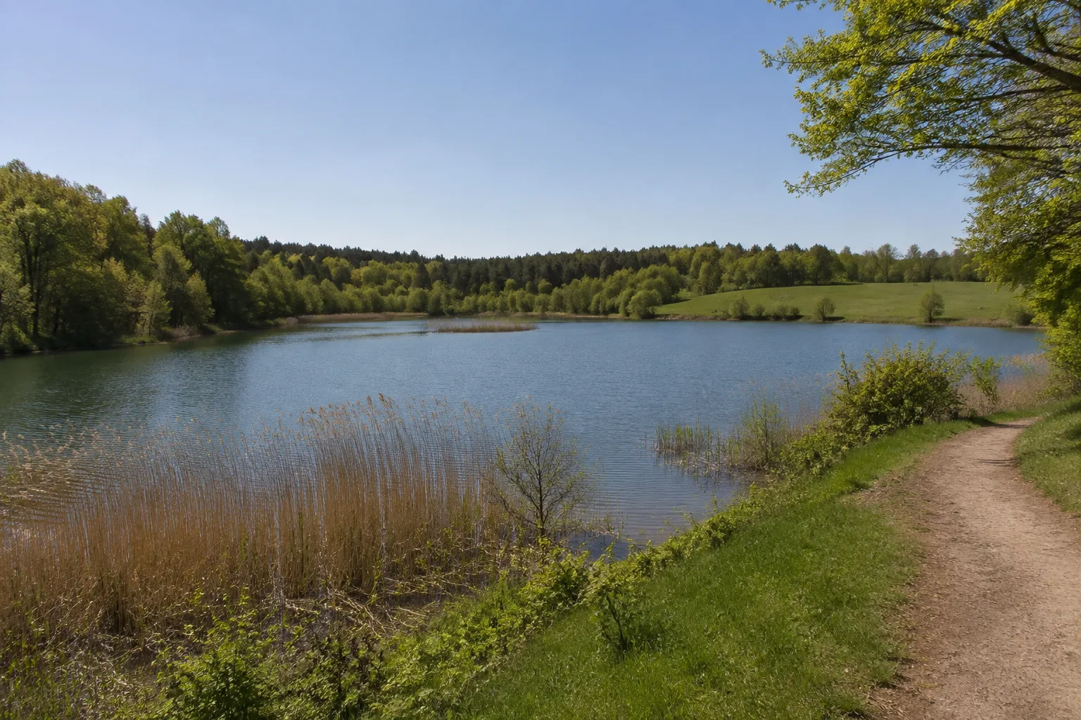 Feisneck: kleiner See am Waldrand südlich der Stadt