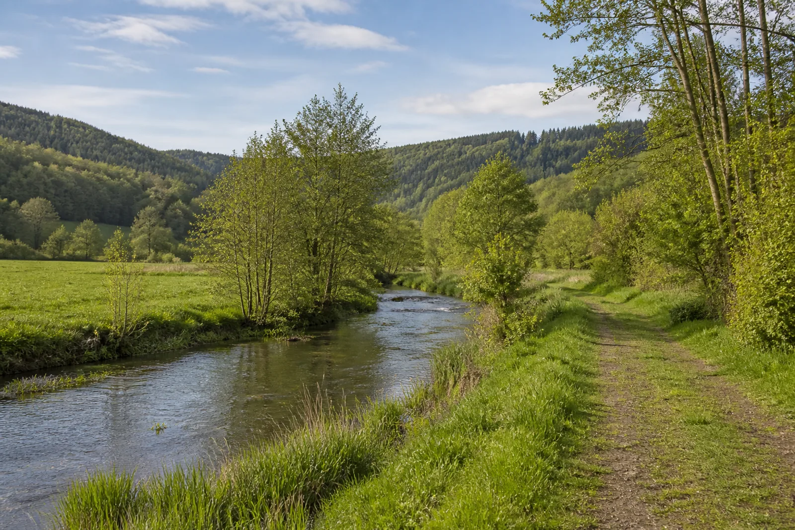 Wiesenweg an der Möhne bei Allagen in Warstein