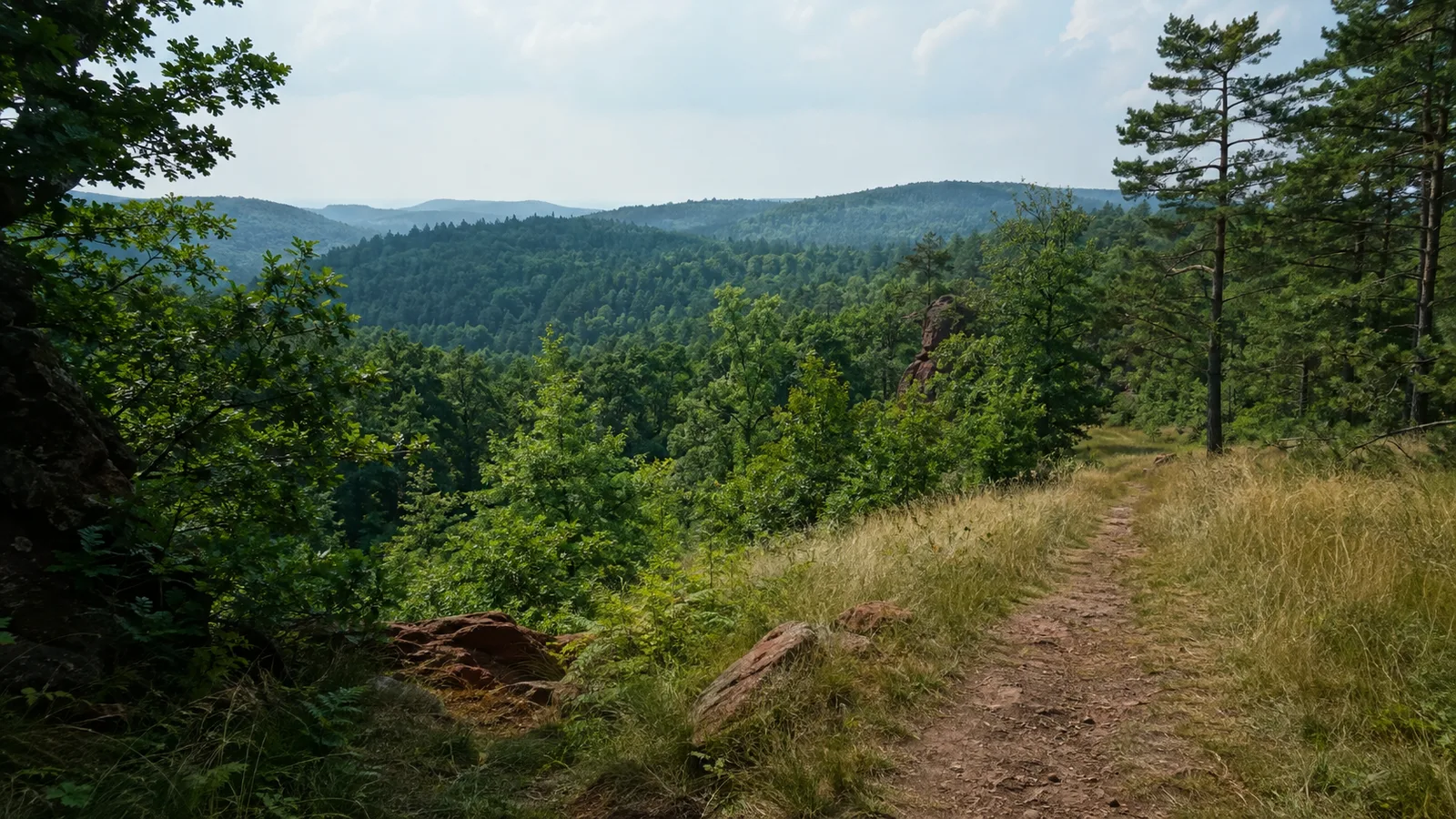 Trifelsland: Burgenberge im nördlichen Wasgau