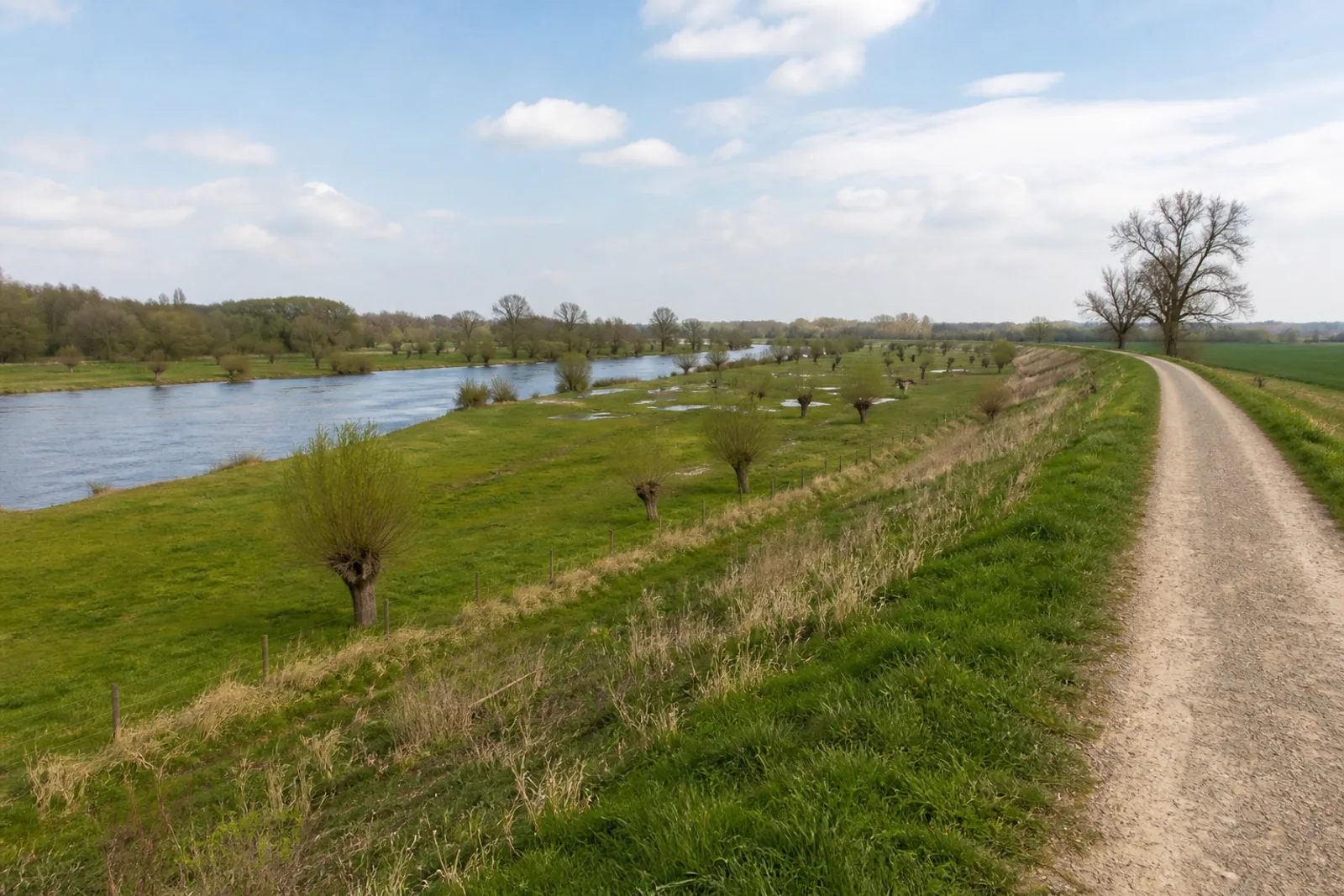 Wiesenweg in der Ruraue