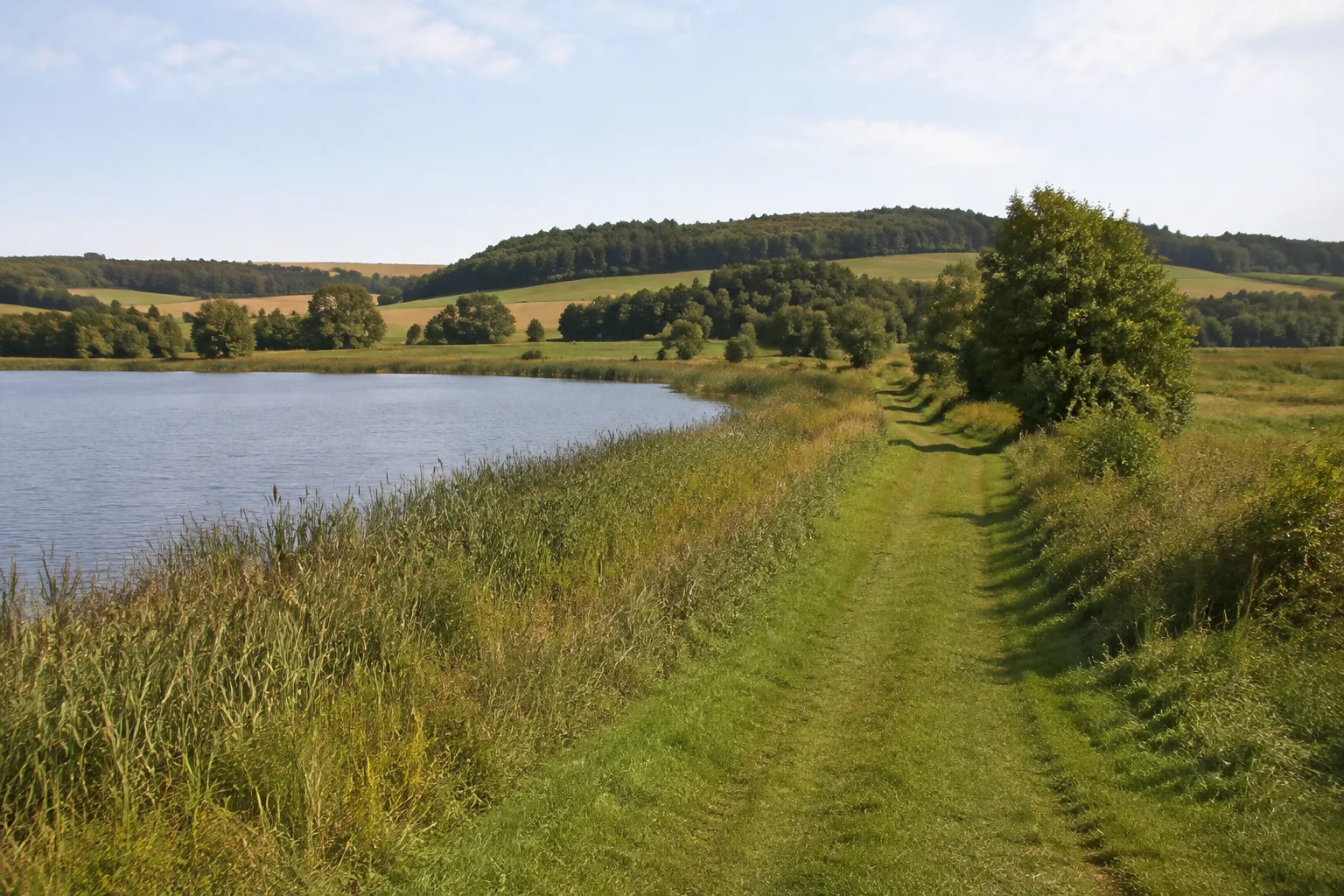 Nassauer Hochfläche: kleiner ländlicher See mit Schilfsaum und landwärtigem Wiesenweg zwischen Feldern und lockeren Gehölzen.