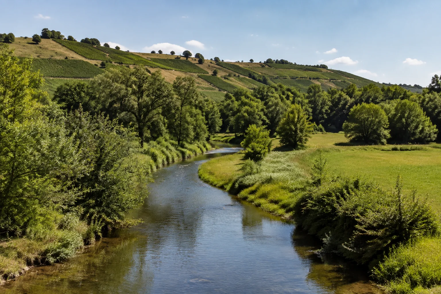 Weikersheim: Taubertal bei Weikersheim: kleiner Fluss mit Wiesen und Laubgehölzen unter sonnigen Wein- und Feldhängen.