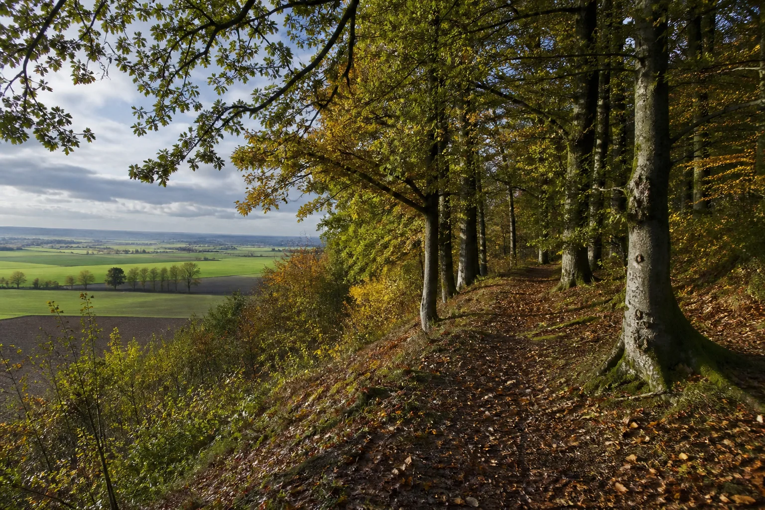 Weilerswist: Landschaft beim Wandern in Weilerswist