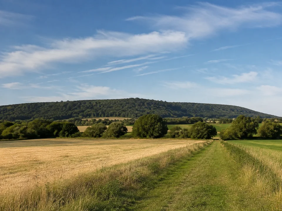 Ettersbergfuß bei Gaberndorf: Offene Felder mit grünen Randwegen unter einem niedrigen langgezogenen bewaldeten Höhenzug