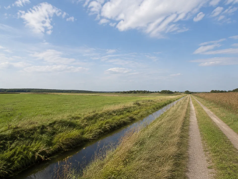 Weinböhlaer Nassau: weite ebene Wiesen und Äcker mit geradem schmalem Entwässerungsgraben und Feldweg