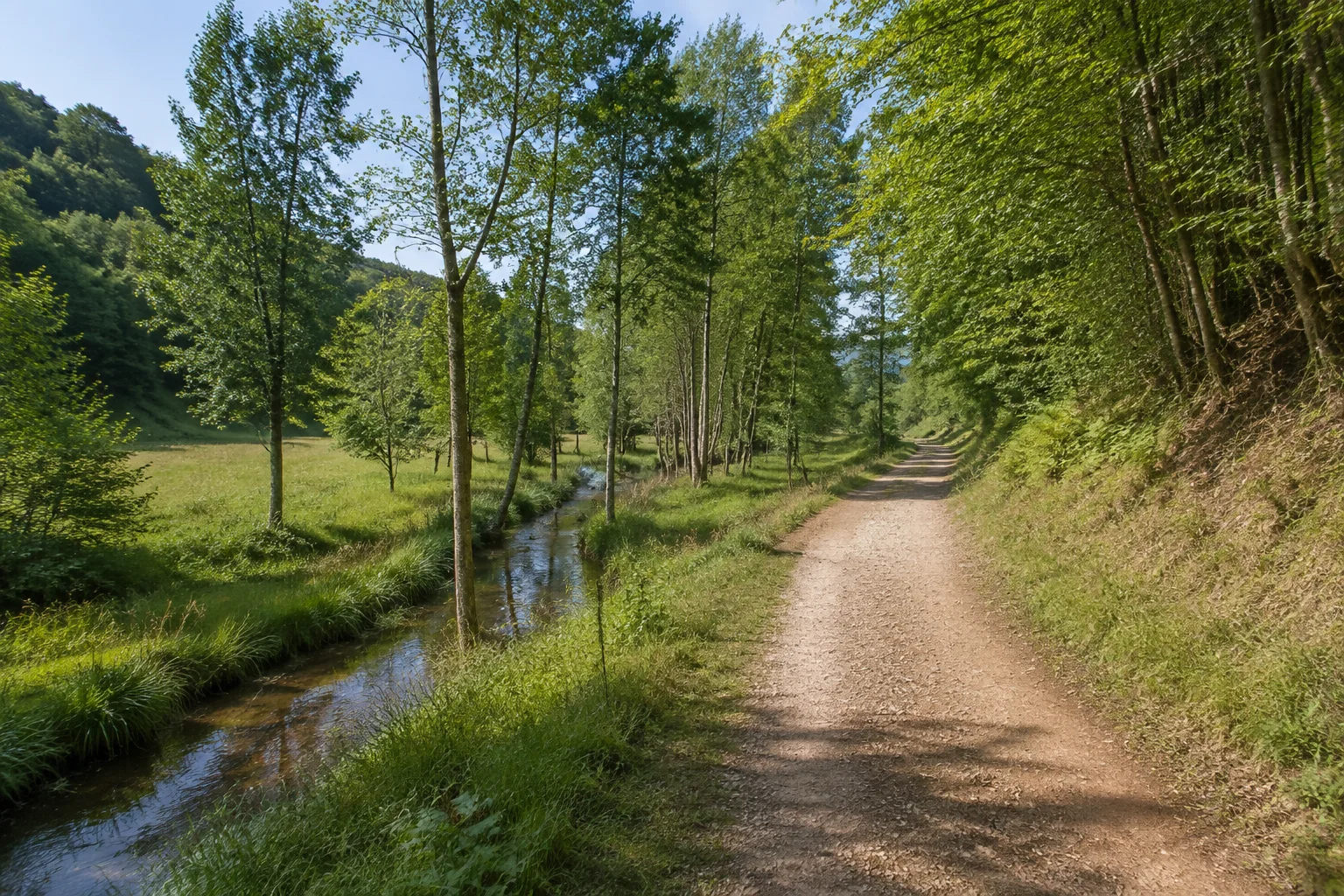 Thailener Bachland: kleiner Bach in Wiesen mit Erlen, breiter Weg zwischen Talgrund und niedrigem Waldhang.