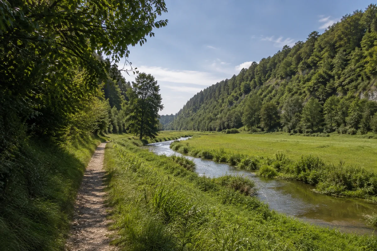 Schmales grünes Tal bei Suffersheim mit Bach, Wiesen und bewaldeten Jurahängen, friedlicher Talweg.