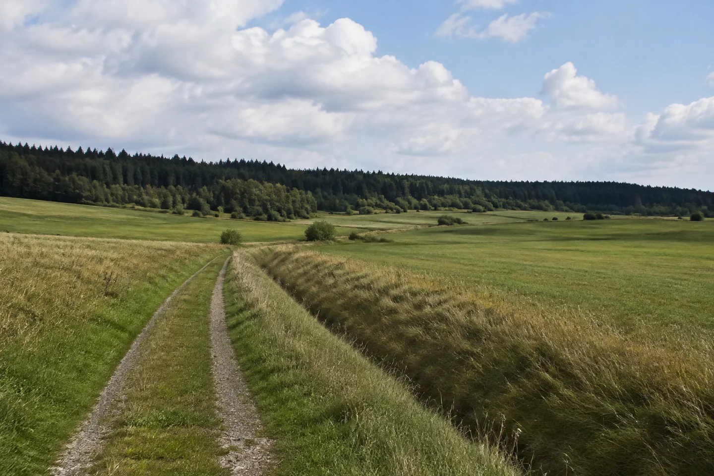 Wiesenlandschaft bei Voitsumra westlich Weißenstadt, schmaler Feldweg, grasige Gräben und dunkler Nadelmischwald am Horizont, breite Hochlandmulde.