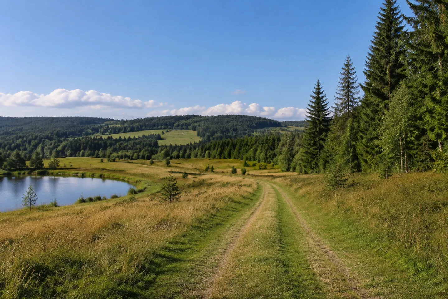 Kleine Teiche und Wiesen am Ortsrand von Franken östlich Weißenstadt, Feldweg zwischen grasigen Ufern, fichtenreiche Waldränder und sanfte Hügel.