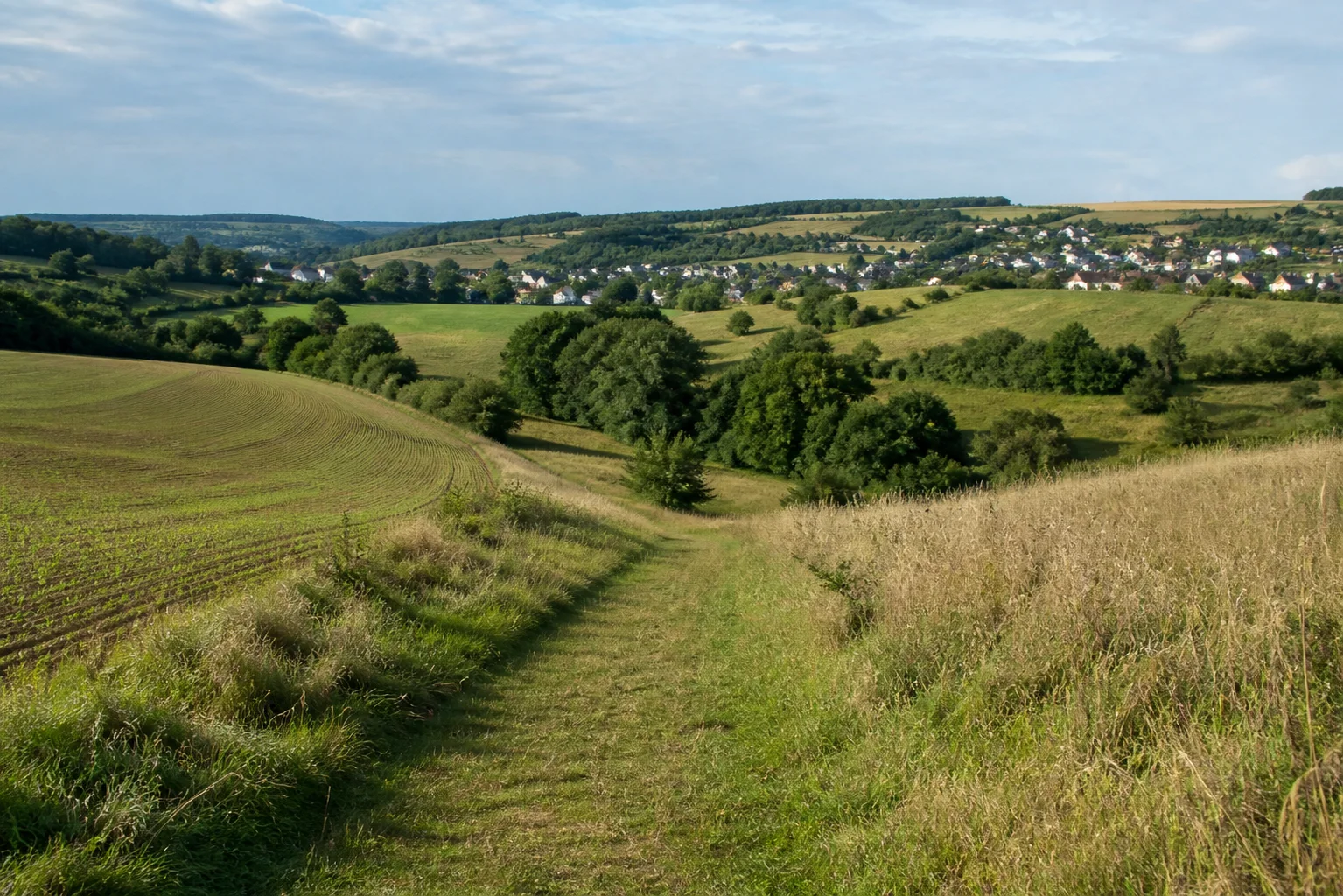 Welschbillig: Welschbilliger Gutland: Wiesenweg über sanfte Ackerhügel mit kleinem Dorf und bewaldeten Bachmulden.
