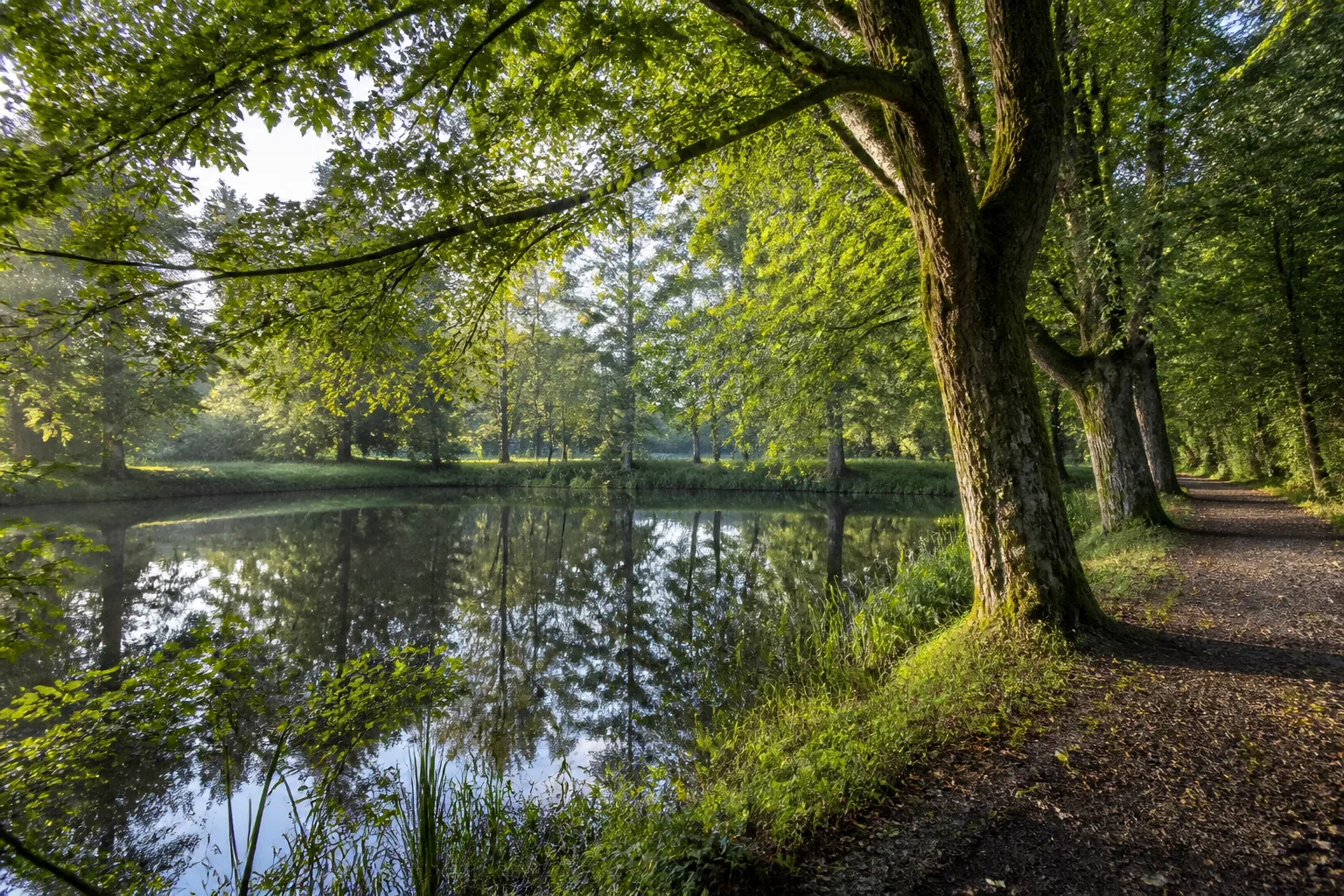 Welver: Klosterholz beim Wandern in Welver