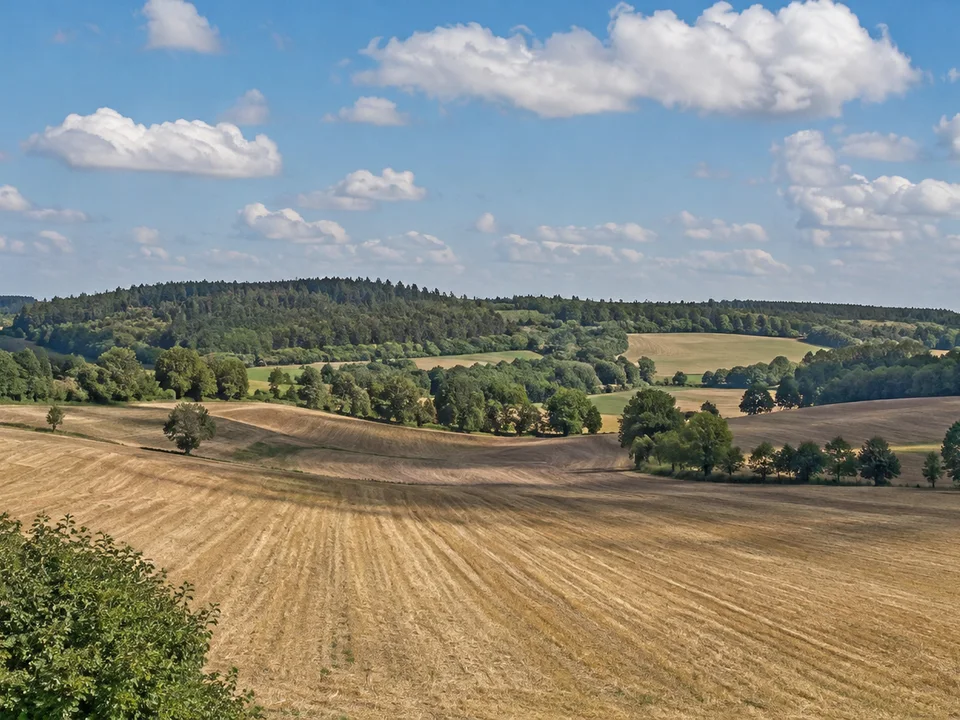 Drawehn bei Clenze: sanft wellige Felder und bewaldete Kuppen unter weitem Himmel