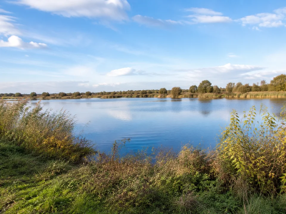 Am Dunger See: Kleiner ruhiger See mit breitem Schilfgürtel und niedrigen Ufergehölzen in flacher Marsch, Blick vom öffentlich zugänglichen Rand ohne Steg