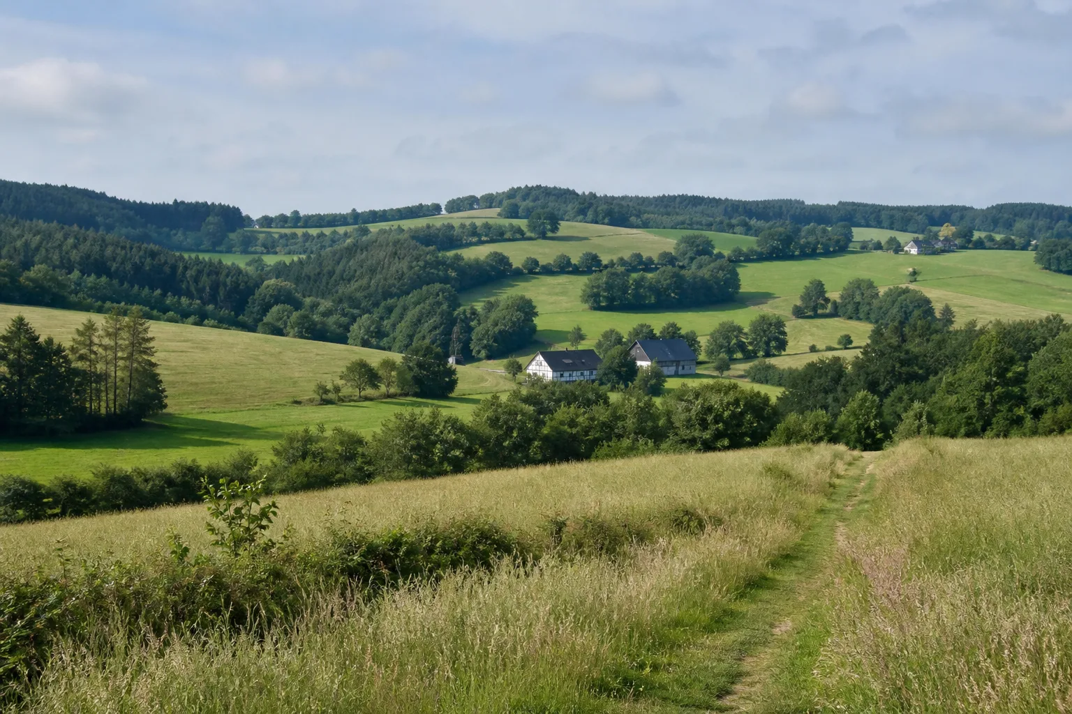 Wiesenweg zwischen Hofschaften auf der Dhünnhochfläche bei Wermelskirchen