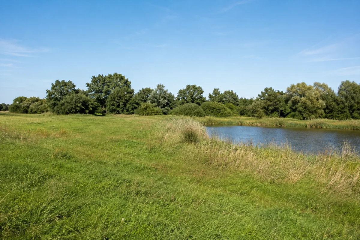 Luppa: flache Wiesen und Teichwasser mit niedriger Laubbaumkulisse