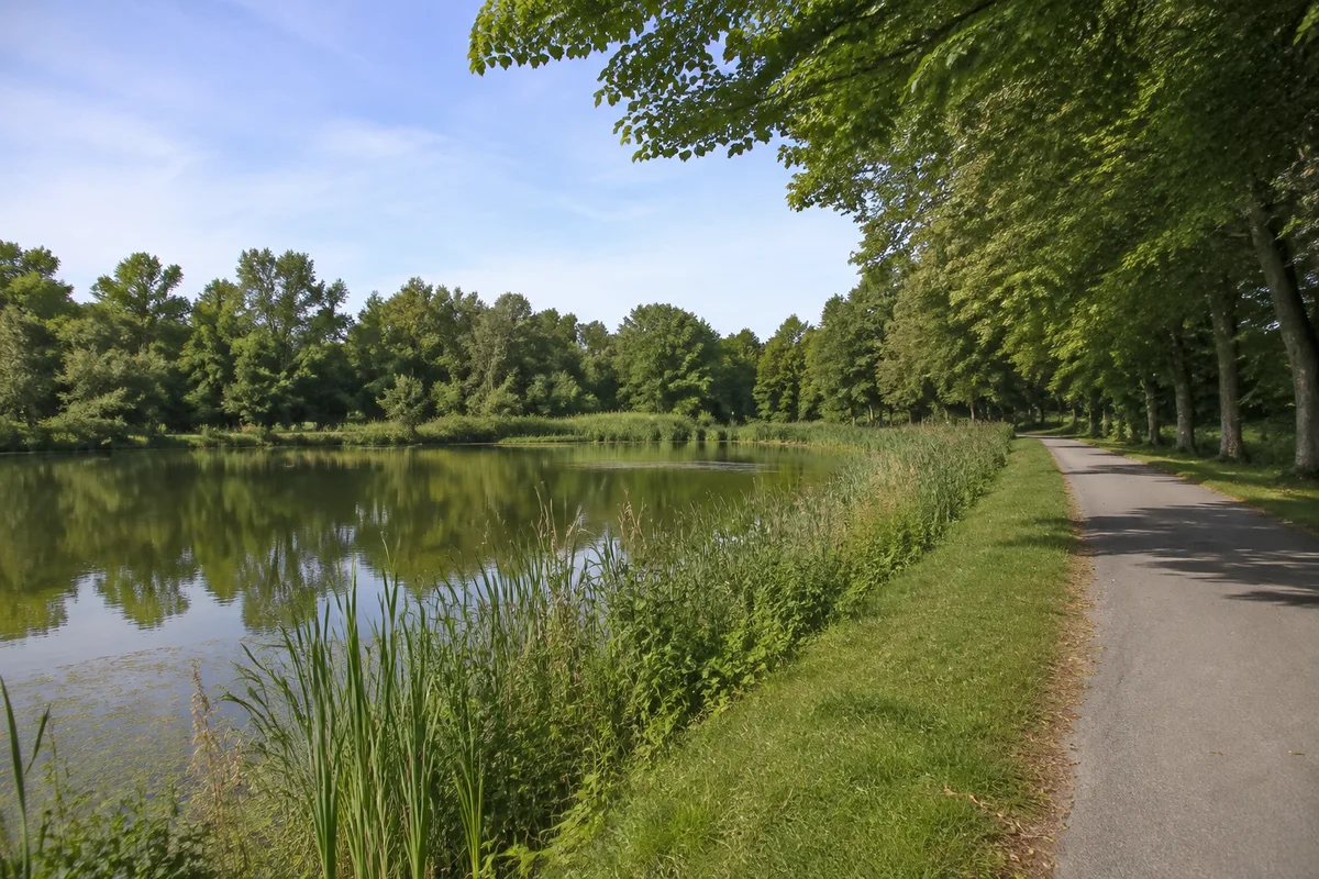 Wermsdorf: Wermsdorf Hirschplatz: Wermsdorfer Ortsrand: ruhiger Teich mit Schilfsaum und Laubbäumen neben befestigtem Weg
